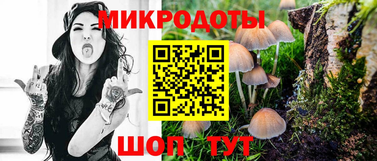 Псилоцибиновые грибы Cubensis Евпатория