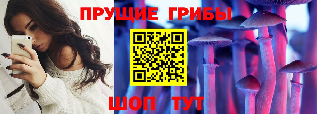 купить наркоту  Псилоцибиновые грибы MAGIC MUSHROOMS  Псилоцибиновые грибы Cubensis  Вход с VPN  Евпатория 